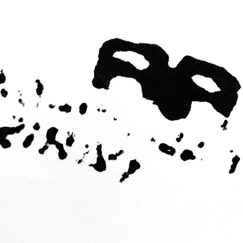 011e09f8add1c13829ffeadaa763f4e6_1745477170_2027.jpg