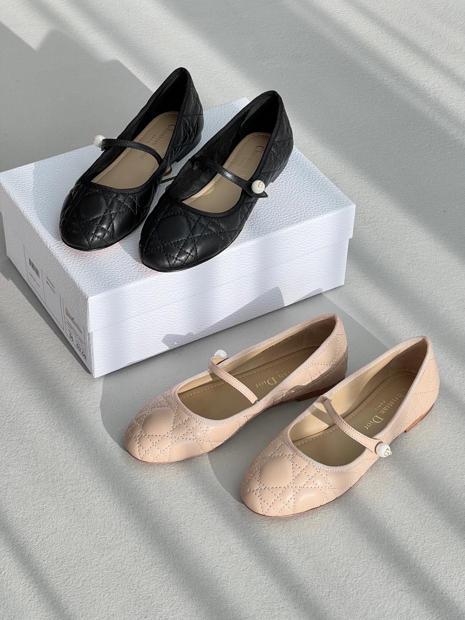Dior Shoes (Flat)