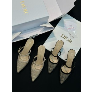 Dior Shoes (6cm)
