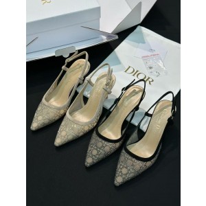 Dior Shoes (6cm)