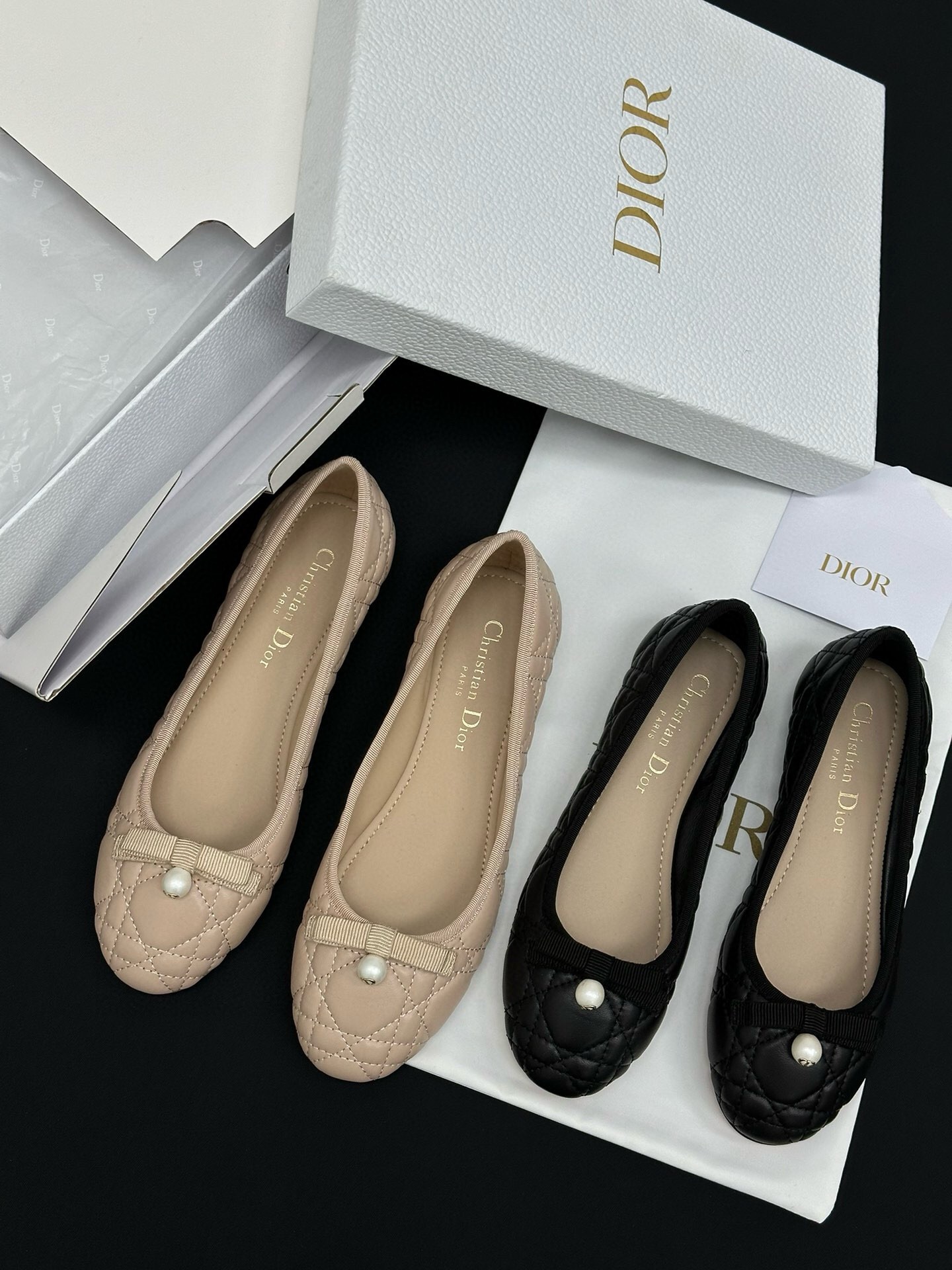 Dior Shoes (Flat)