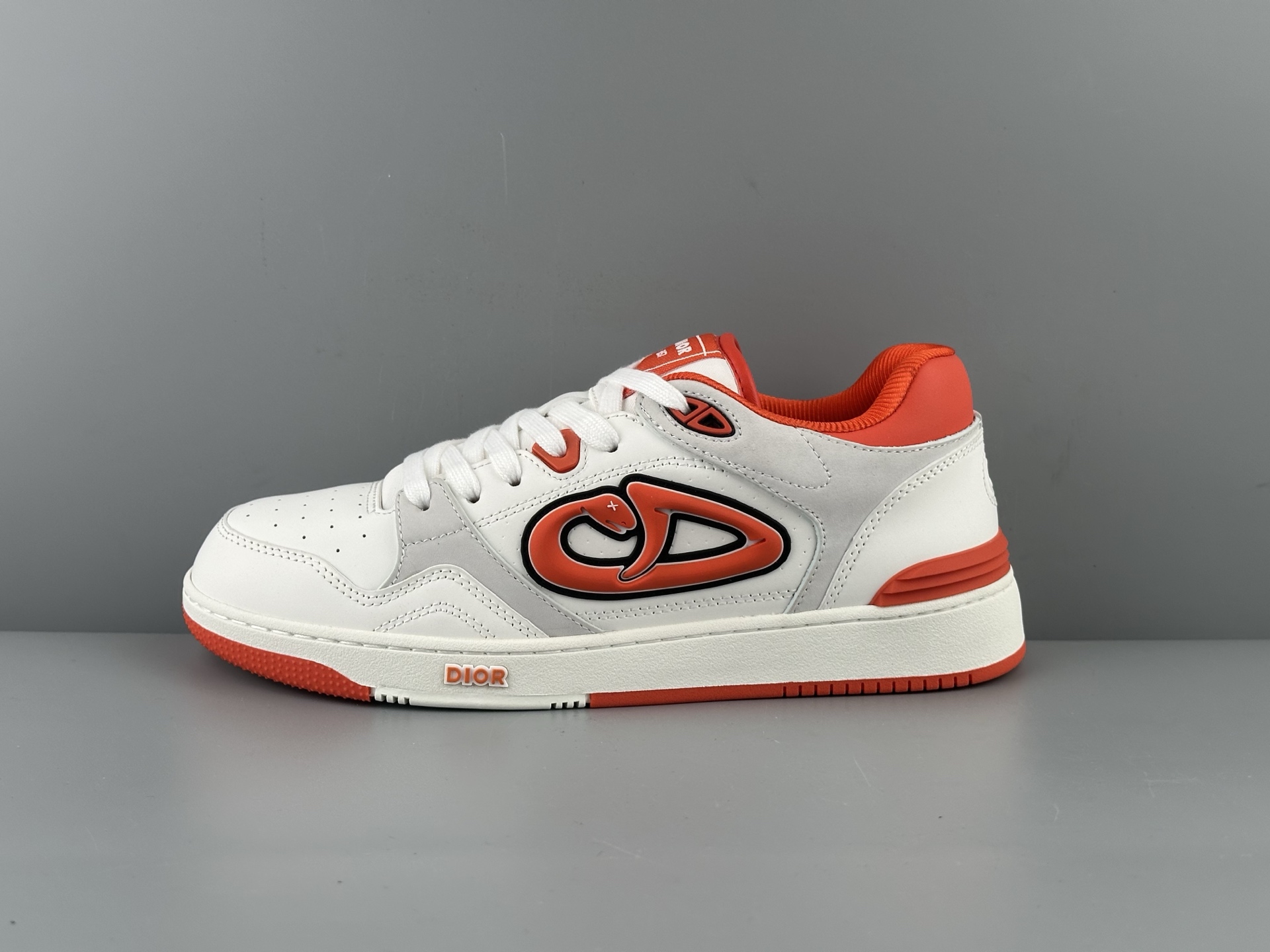 DIOR AND KAWS B57 Dribble