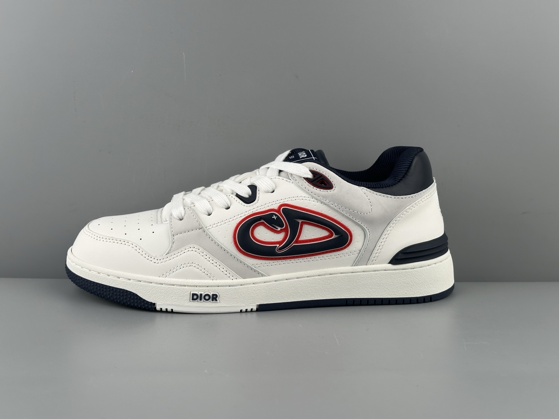 DIOR AND KAWS B57 Dribble